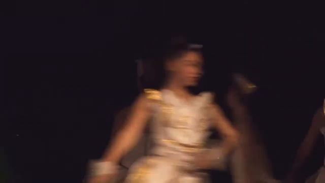 Лебединая симфония