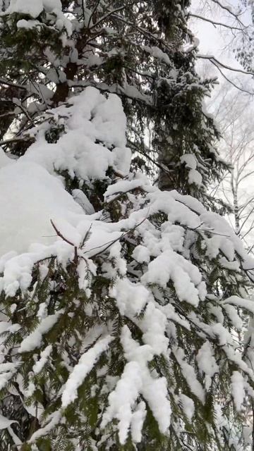 Засыпало снегом, последний день ЗИМЫ #russia #2024 #лыжи