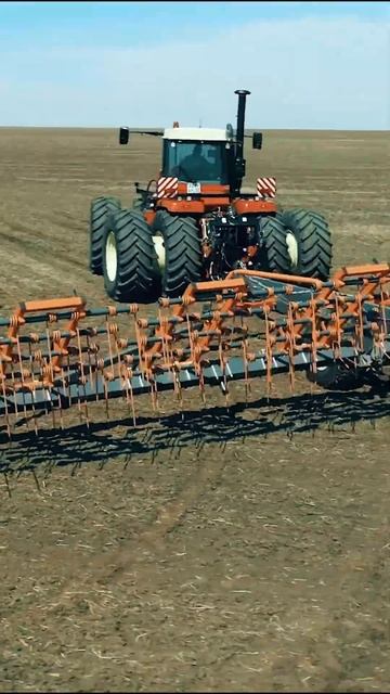 A29976ccdf3cdddce07d3b999f2b6843