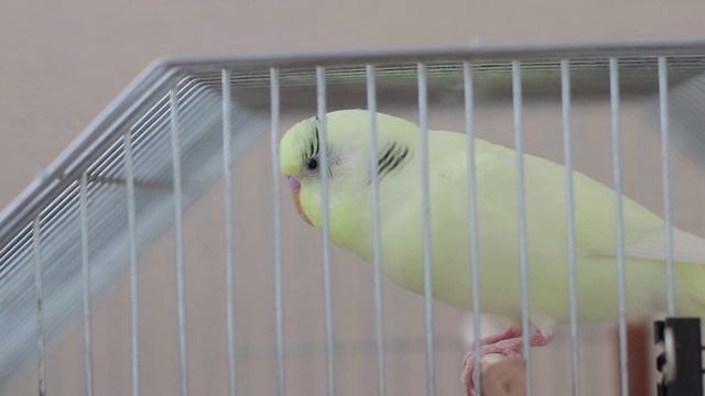 73734c6bd270f0e6d4080bbabbf265cc