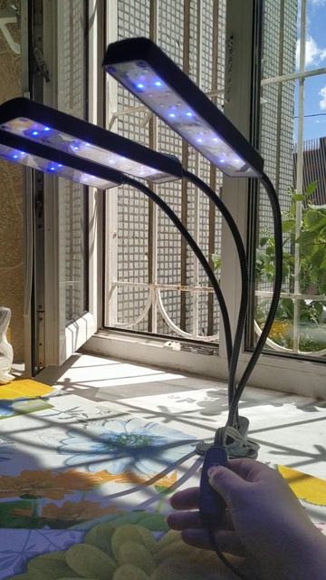 77cd4a47f0482ff43e458423d1a26254