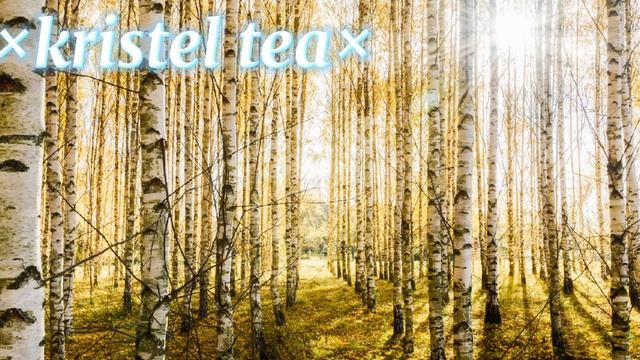 //клип//  а закаты алые