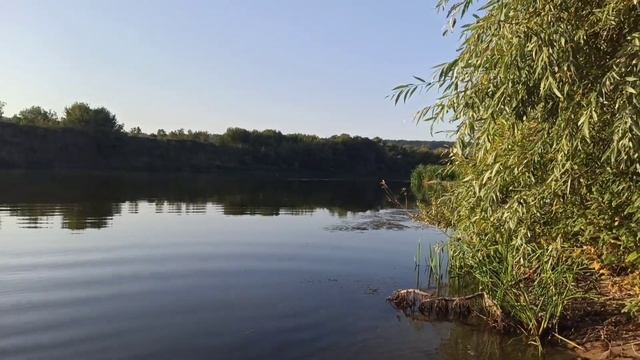 Путешествие по реке Дон. От Замятино до Шилово. Послед?