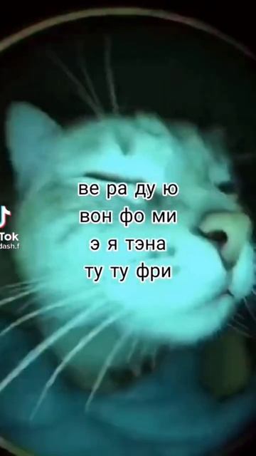 Ed26d56ff312603ce8dbf33feb3f8492