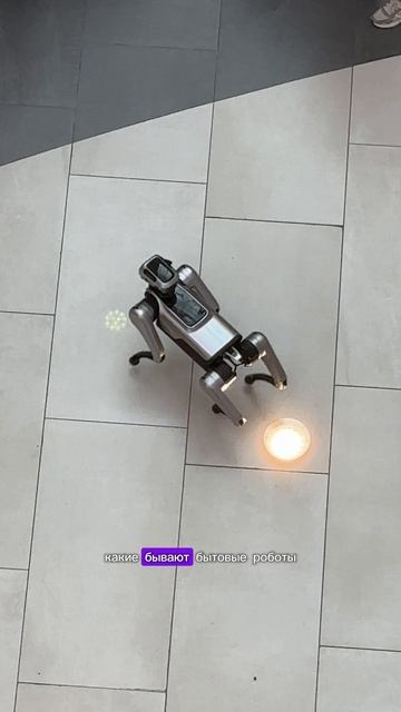 4ae84512650a46aa82d6134c462019c2