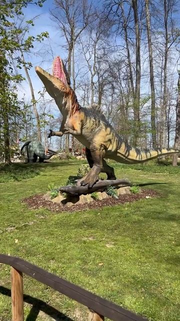 Cc525d0207419af0fc87129b1c6e3ce6