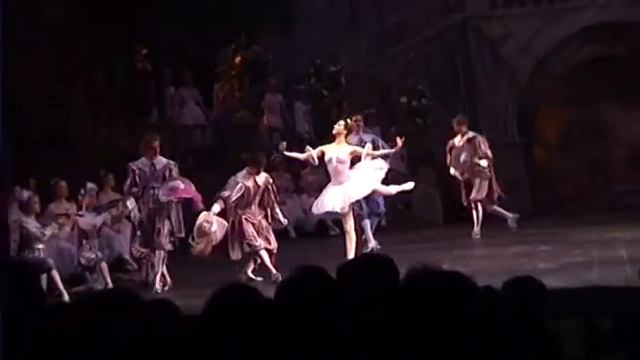 Спящая красавица  Боярчиков архив