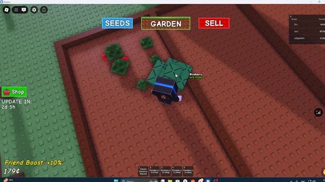 Играю в роблокс в режим вырасти сад