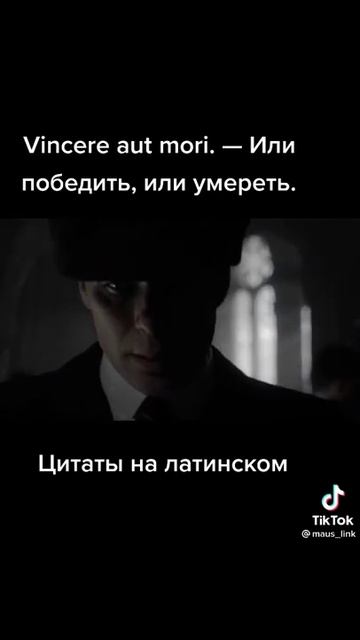 цитаты на латинском