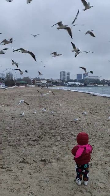 Анапа, море, песок, чайки.