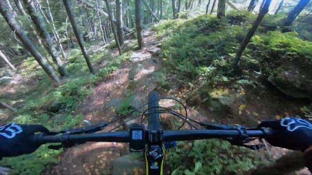 Один із найскладніших трейлів Карпат – гора Магура, Ворохта 25/08/2022