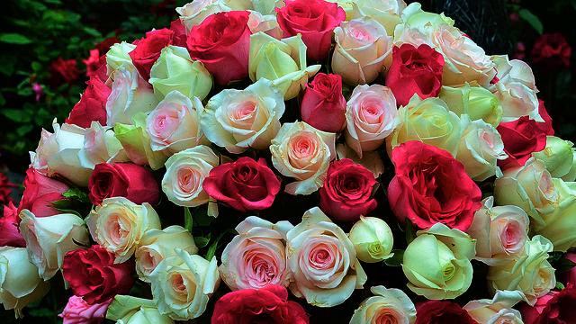 Новая русская песня радио онлайн