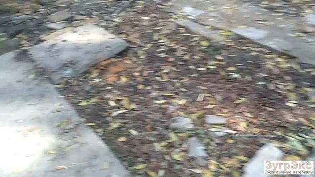 Родничковая реанимация 2020.10 (Зугрэс)