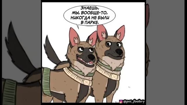 История Брута Комикс