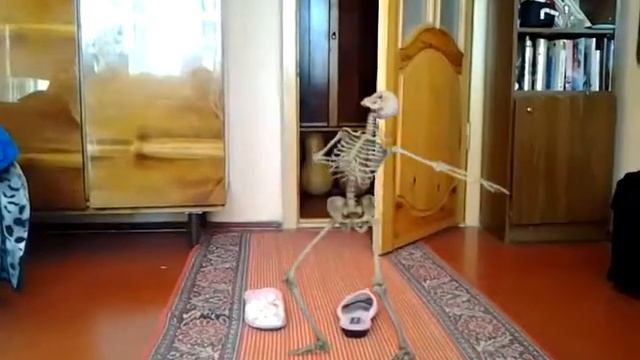 Видали отета балет а не то что вы танцуете . Скеле