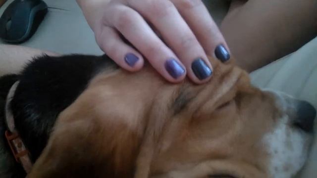 Смотреть всем , прикол с Чаки