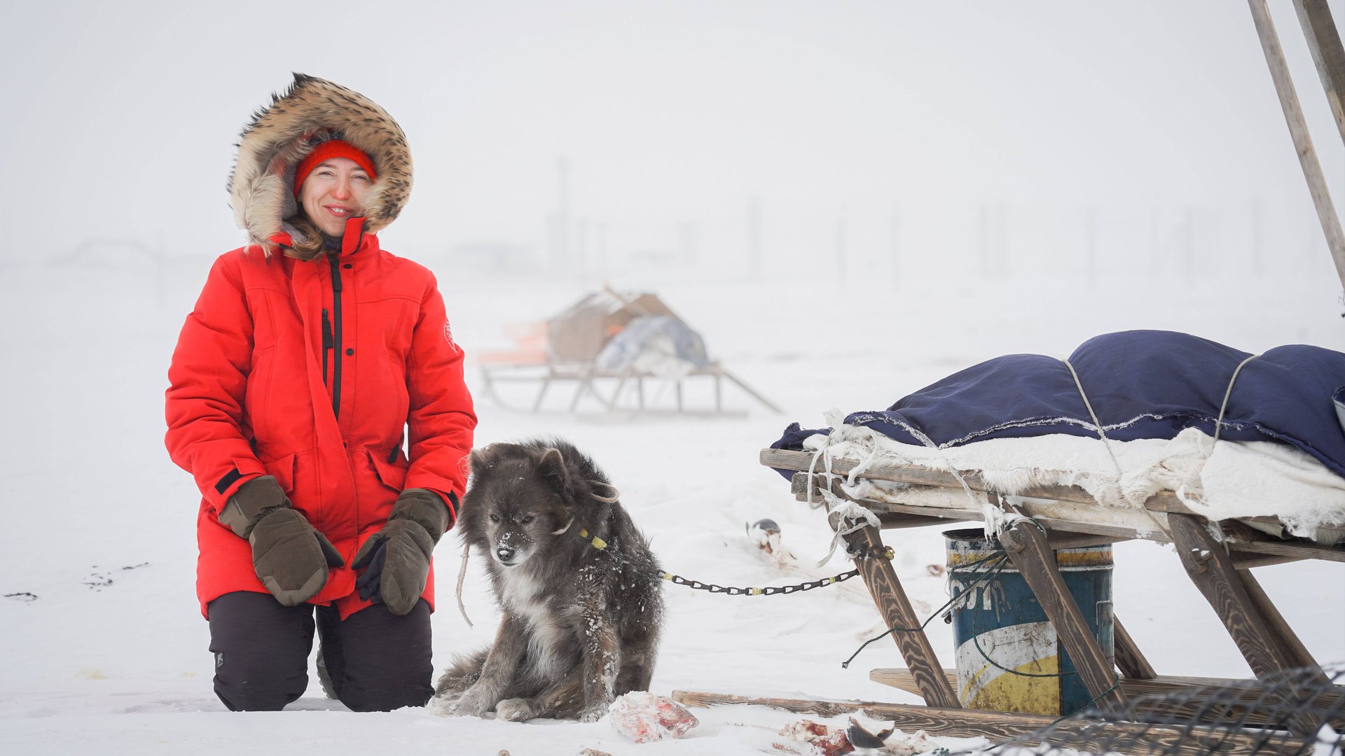 3e128c8926ce45a85056aa3c8dd9ceb7