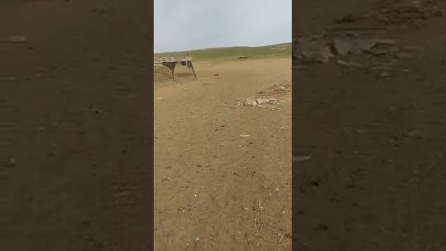 Шіркін, әкемнің көзін көрген ауылым-ай.