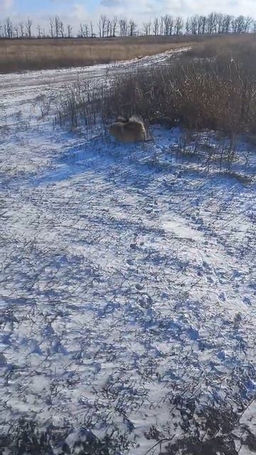 краснодар первый снег