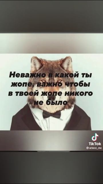 безумно можно быть первым безумно можно через стены