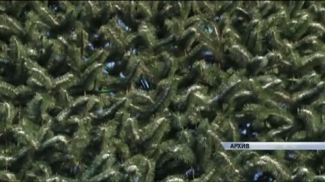 Информационный канал Город 20.11.15