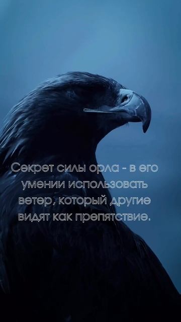 Мотивация #youtube #рекомендации #motivation #орел #shorts
