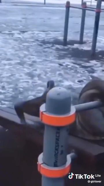 #цитаты #волк#безумно #можно#быть#первым