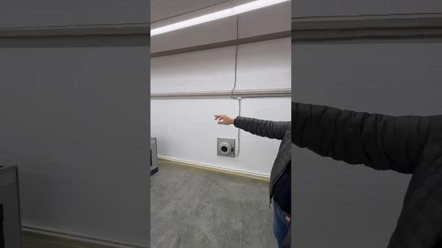 WhatsApp Video 2025-05-08 At 11.51.59