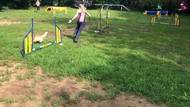 29.07.2018 Джампинг 0, трасса 1 / Jumping 0, Course 1