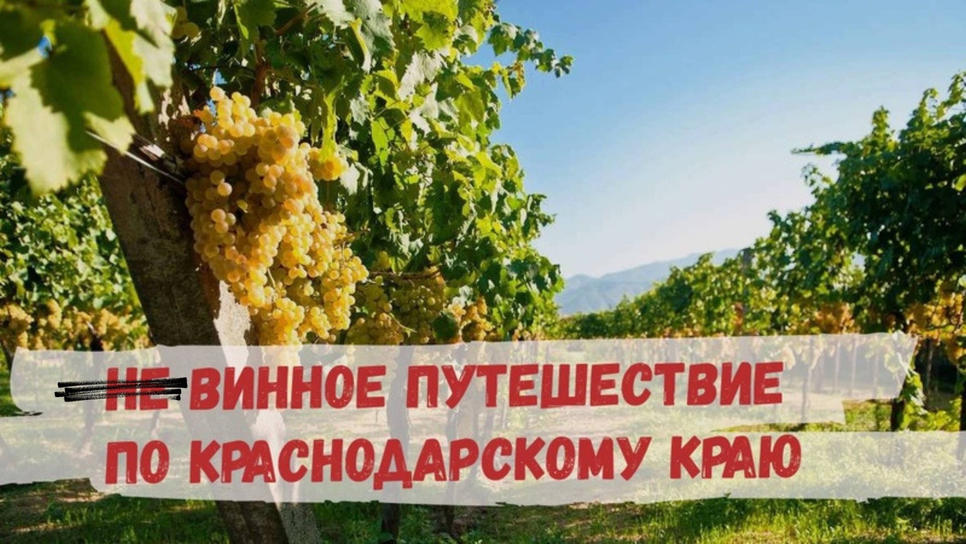 7f119c75810bbda0beec715f986f8e06