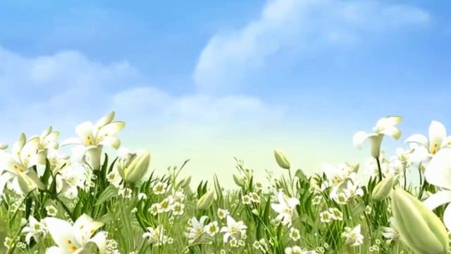 Ты опоздал на много лет.   Вера Царева.