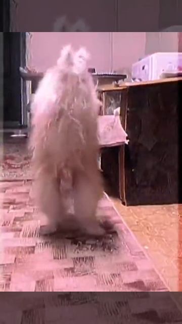 A28bbc0ed84b75217e4306234f946b50