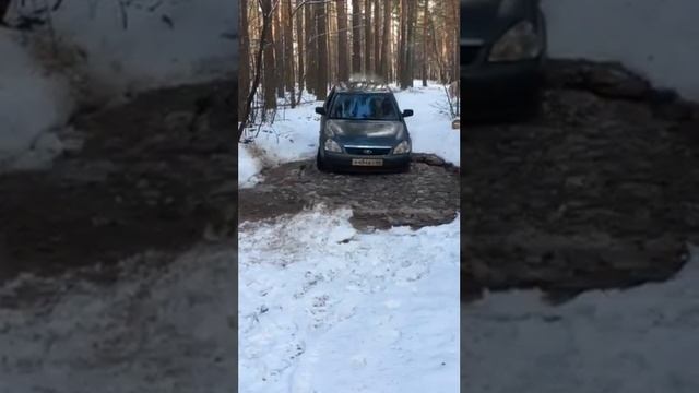 Приора застряла в болоте.