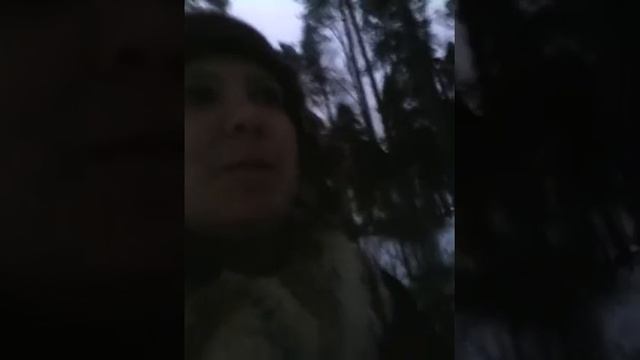 Прогулки с козами зимой на новый год