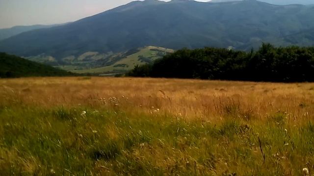 На полонине горы Пикуй