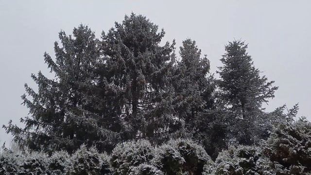 Пришла зима,выпал снежок