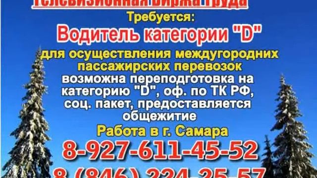 13 февраля_23.50_Работа в Тольятти_Телевизионная Биржа Труда