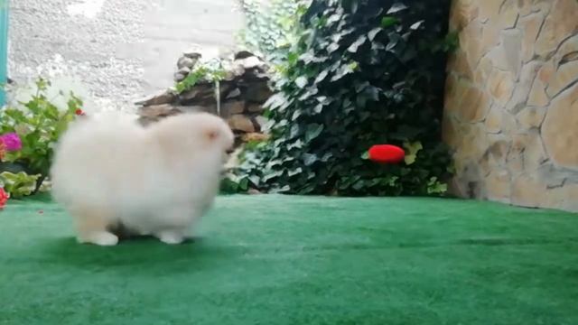 5365ce8e9817d31512ae552c4872fc3a