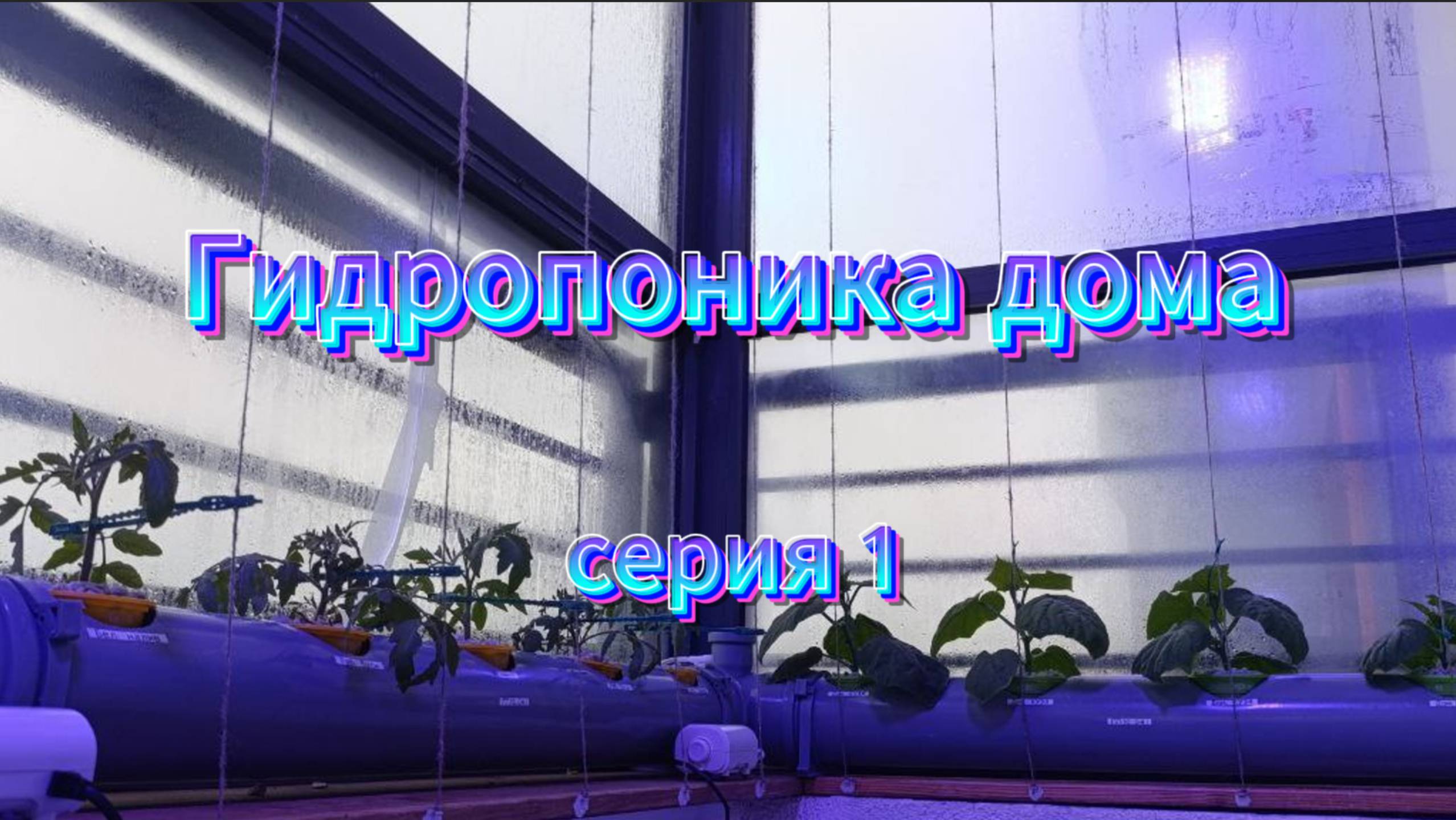 Гидропоника дома серия 1