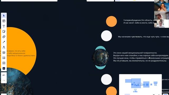 Окно эмоций Тигр. 24.02.2024