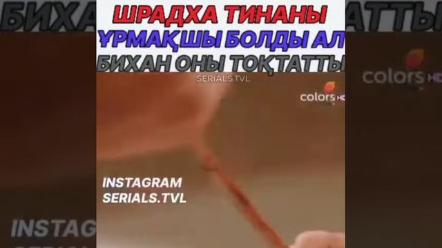 Шрадха Тинаны ұрмақшы болды бірақ Бихан Шрадханы тоқтатты