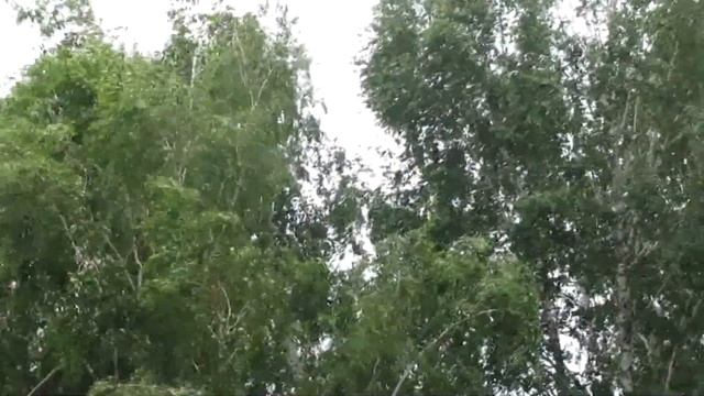 Налетел ураган! А получилось, что гора  родила мышь 🙏  #погода #ураган