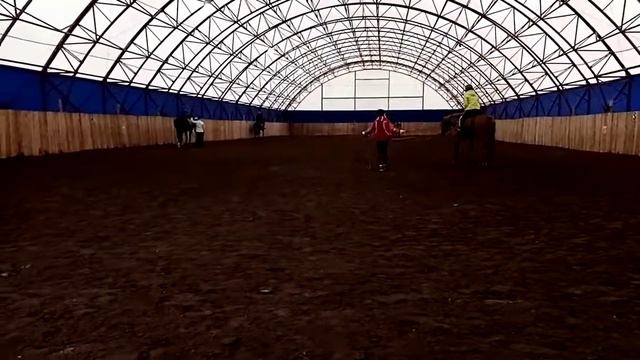 Первый раз скачу на лошади рысью