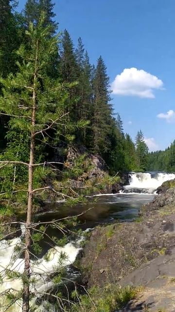 Водопад Кивач/ Карелия