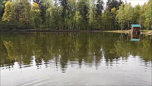 Прошёлся с экскурсом по нижнему, рыбы море!