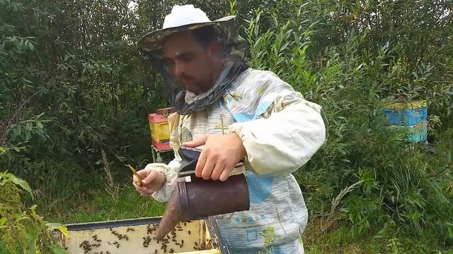 Отбор рамок и откачка меда сезон 2017