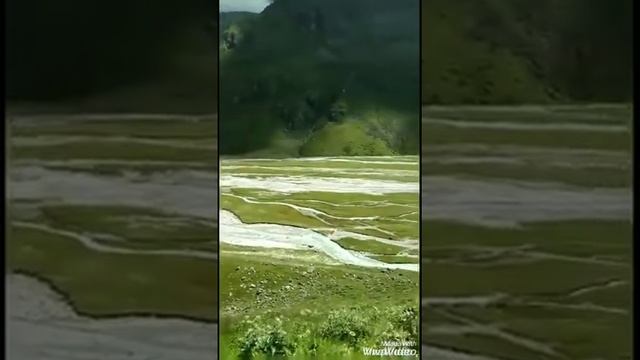 Галдор 1 часть 0708.2020