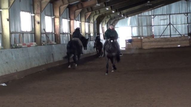 выездковая тренировка 9 Лёва и Жанна, 23.02.12