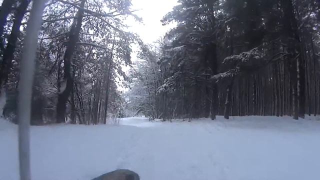 По снежку и сугробам...