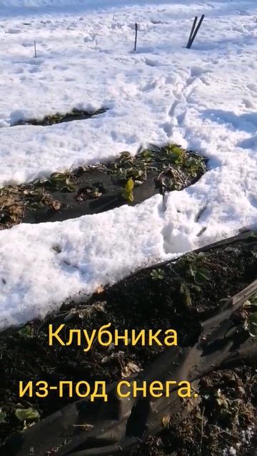 B42f05b0e51fb0b47444273b04892b09